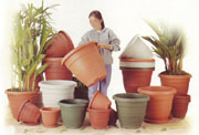Baba Pot